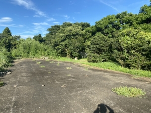 土地